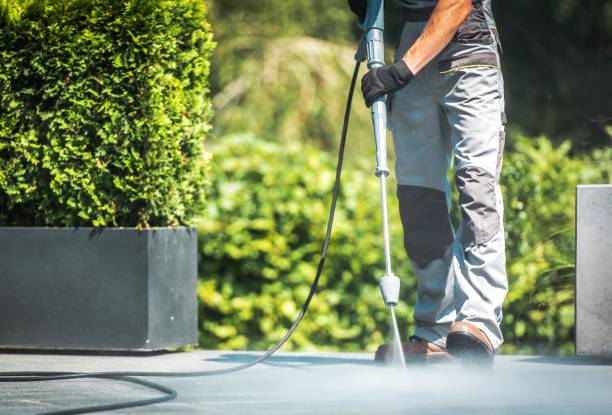 Best Sidewalk and Walkway Pressure Cleaning in Waterloo, IL