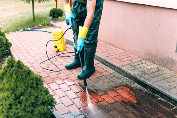 Best Roof Cleaning and Mildew Removal in Waterloo, IL